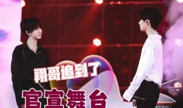 翔霖被成员爆料视频下载,揭秘背后真相